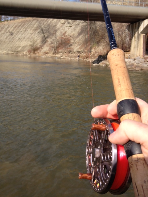 Ohio Steelhead Season is here…