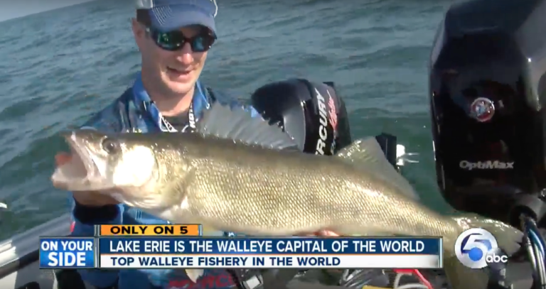 When it comes to walleyes Lake Erie is the best in the world…