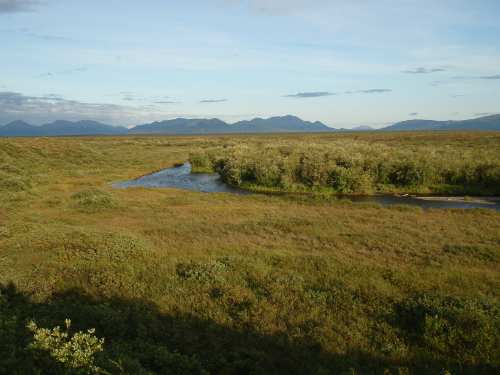 A Togiak Tributary - The Pongo...