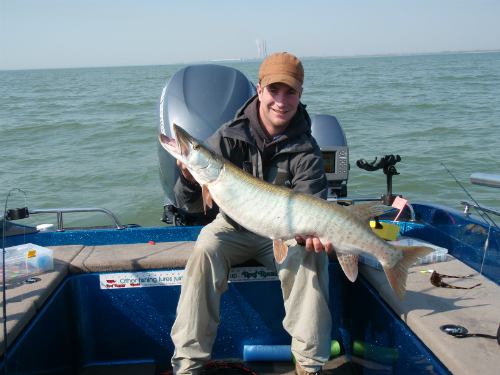 Surprise musky are becoming more and more common on Erie!